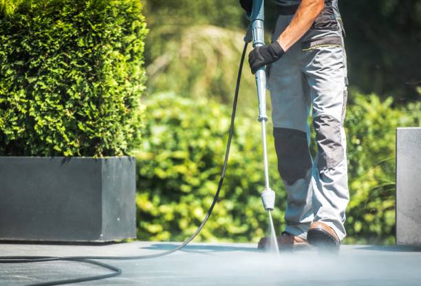 Best Rust Removal  in Pines Lake, NJ
