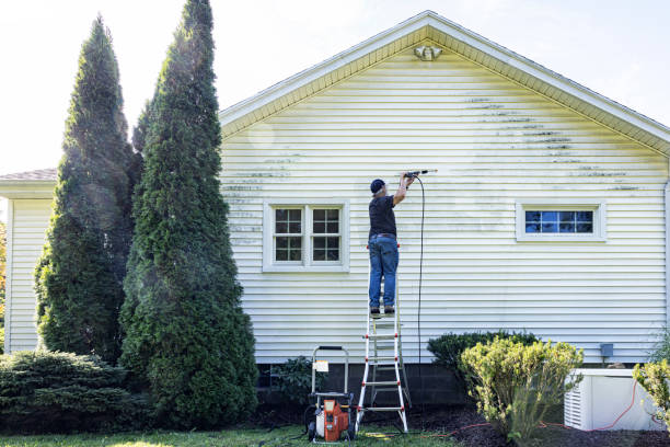 Best House Exterior Washing  in Pines Lake, NJ
